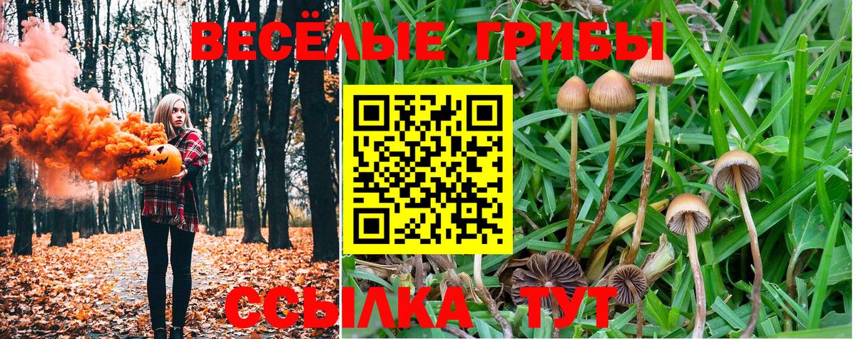 Псилоцибиновые грибы мицелий  Вход с VPN  Галлюциногенные грибы ЛСД  Карасук 